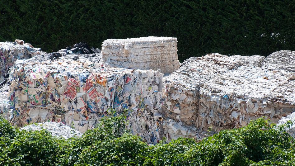 Baled old corrugated containers loaded on a trailer at a fibre packing plant